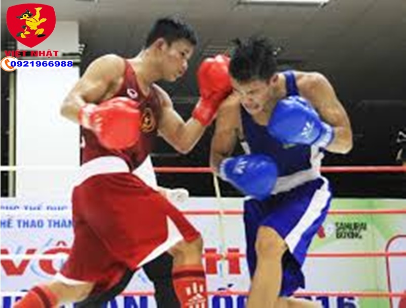 bao tay đấm bốc boxing EVERLAST